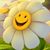 Deb Moody Runyan's profile image