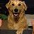 Kate-Taffy Schrup Dall's profile image