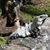 Mary Hughes Gaspers's profile image