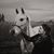 Sarah McKinzie's profile image