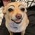Al Farnell's profile image