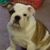 Diane Hockenberry's profile image
