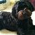 Susan Ureste's profile image