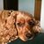 Joann Schubert's profile image