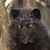 Darrin Sharp's profile image