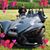 Joellen Knodel's profile image