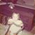 Mindy Sioux Wannick's profile image