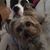 Christine LaBar's profile image