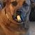 Mark Thomas's profile image