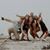 Trisha Rheaume Baron's profile image