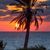 Kimberly Buirge Clark's profile image