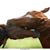 Terrie Edwards's profile image