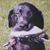 Bob Lorek's profile image