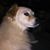 Wanda Horner's profile image