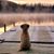 Dave Cluff's profile image