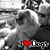 Valerie Gilb's profile image