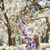 Holly Barrier Meadows's profile image