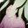 Nazary Nebeluk's profile image