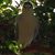 Gary Van Tassel's profile image