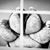 Teri Thornberry Williams's profile image
