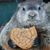 Theresa Horstman's profile image