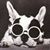 Antonio Lima Jr.'s profile image