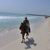 Kim Hopkins-Donohue's profile image