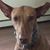 Maggie Muller Sever's profile image