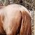 Keith Shimel's profile image