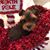 Sherry Cordes Fisher's profile image