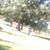 Jasmine Montes's profile image