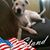 Debbie Kopf Johnson's profile image