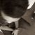 Muhammad Nur Arif's profile image