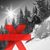 Lindsy Fortier's profile image