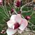 Ann U Mann's profile image