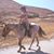 Chrisanthi Konstantara's profile image