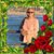 Lorraine Scaia-Brienza's profile image