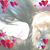 Eva Sarhan's profile image