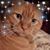 Sharon Pinney's profile image