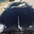 Gilbert D. Paz's profile image