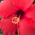 Judy Geehan Bradley's profile image