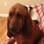 Tracey Hamilton's profile image