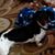 Pamela J Phillips's profile image