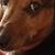 Luann Palmer's profile image
