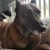 Dave Broadworth's profile image