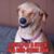 Kylie Maier's profile image