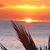 Christina Terry Urich's profile image