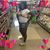 Tiffanymiss Independentjackson's profile image