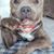 Laura Toohey Schoch's profile image