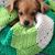 Jennifer Mapp Sandbeck's profile image